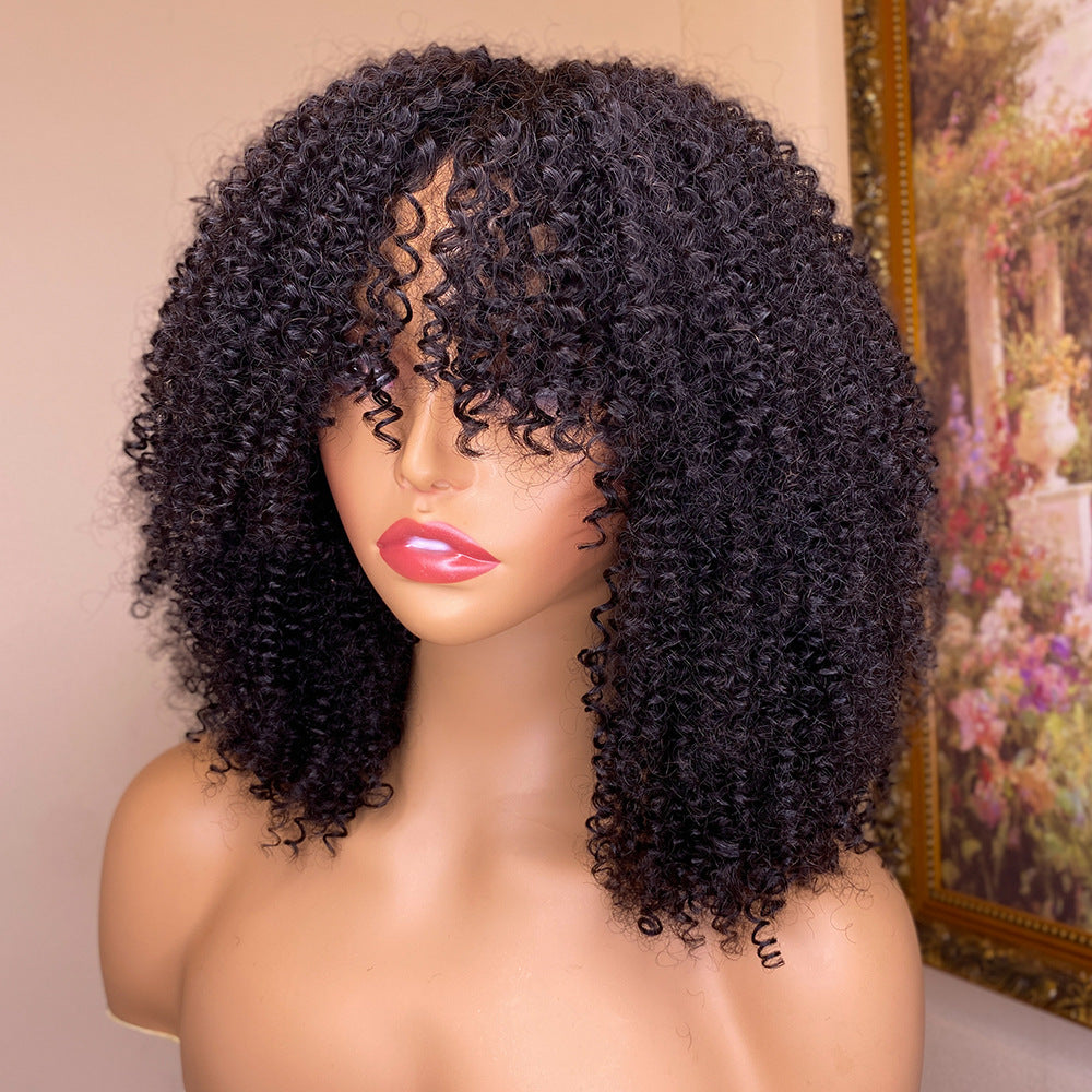 Kinky Curly Human Hair Wigs