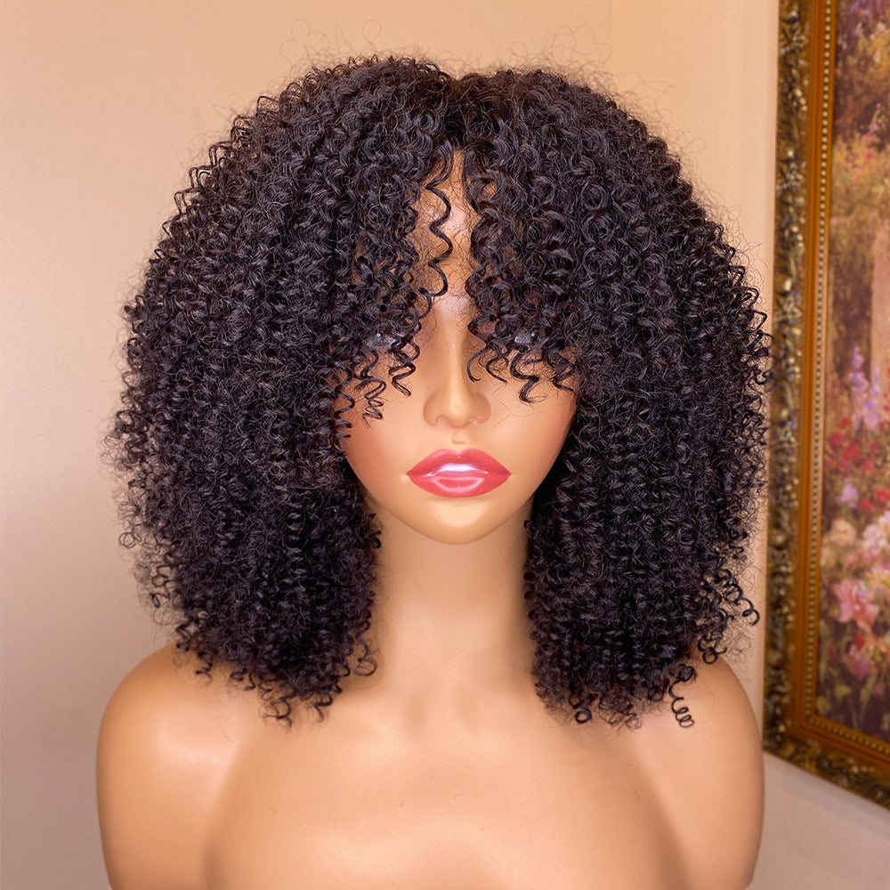 Kinky Curly Human Hair Wigs