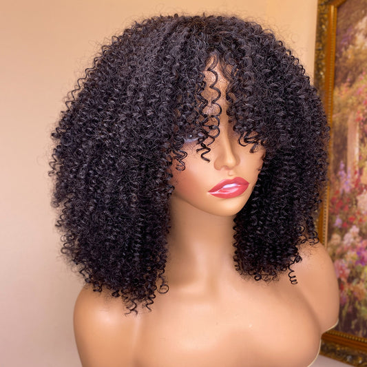 Kinky Curly Human Hair Wigs